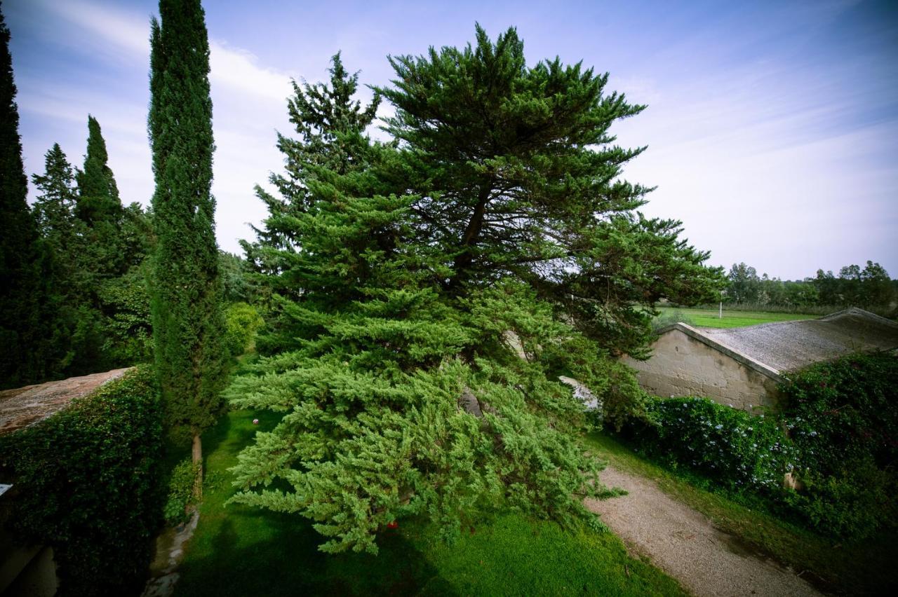Masseria Perronello Country House Castellaneta Marina Exteriér fotografie